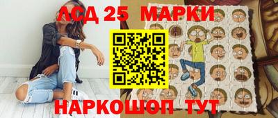 шишки Ставрополь