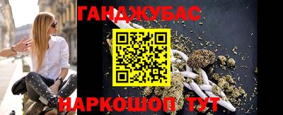 шишки Ставрополь