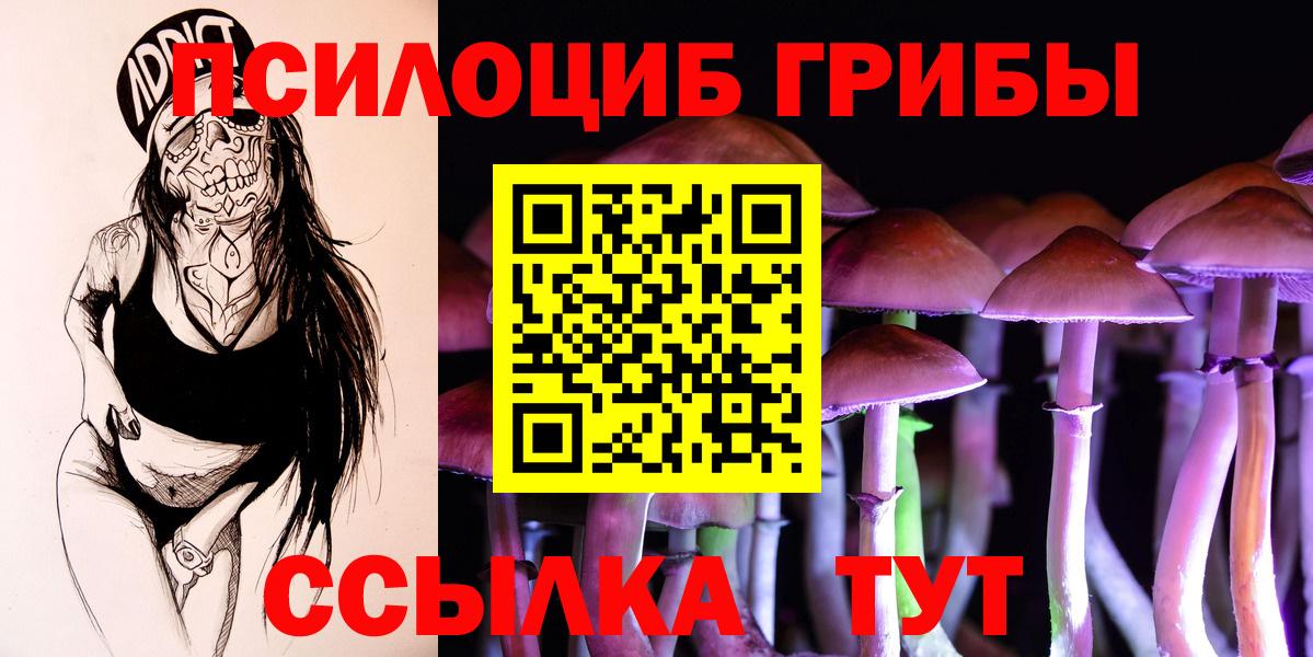 Галлюциногенные грибы Psilocybine cubensis Орёл