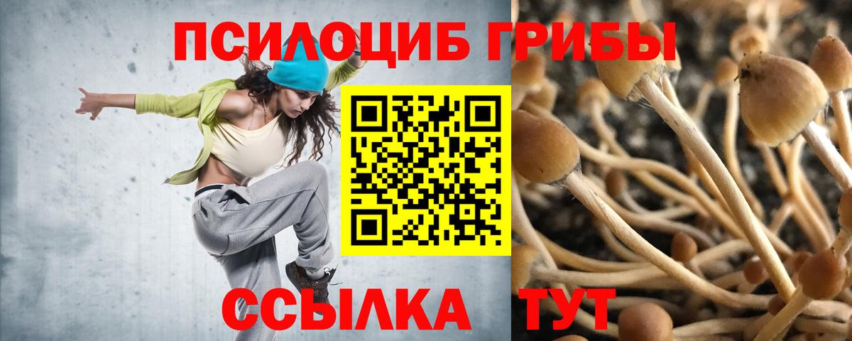 Псилоцибиновые грибы прущие грибы  Вход с VPN  Орёл 