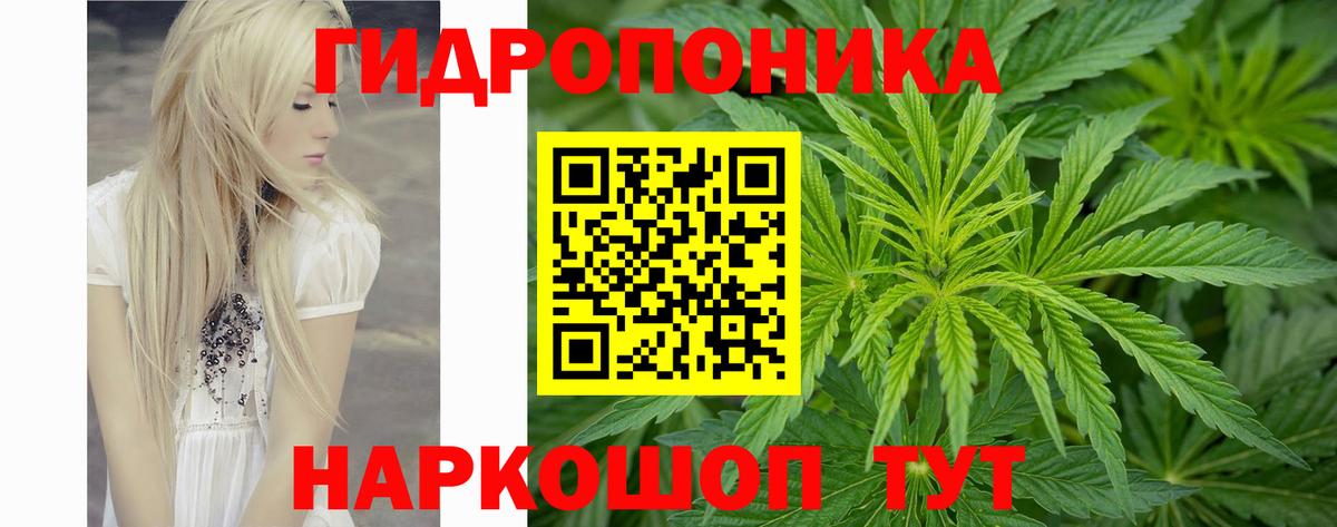Конопля Amnesia  МАРИХУАНА индика  Орёл  Вход с VPN  Бошки Шишки сатива 